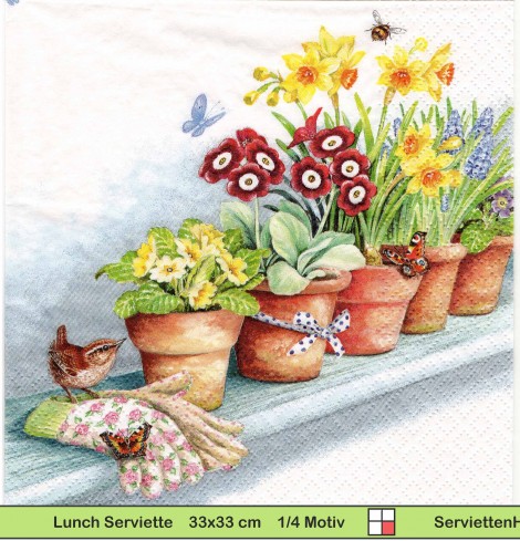 Zaunkönig Primeln Hummel Schmetterling auf Blumenbank - 1 Lunch Serviette